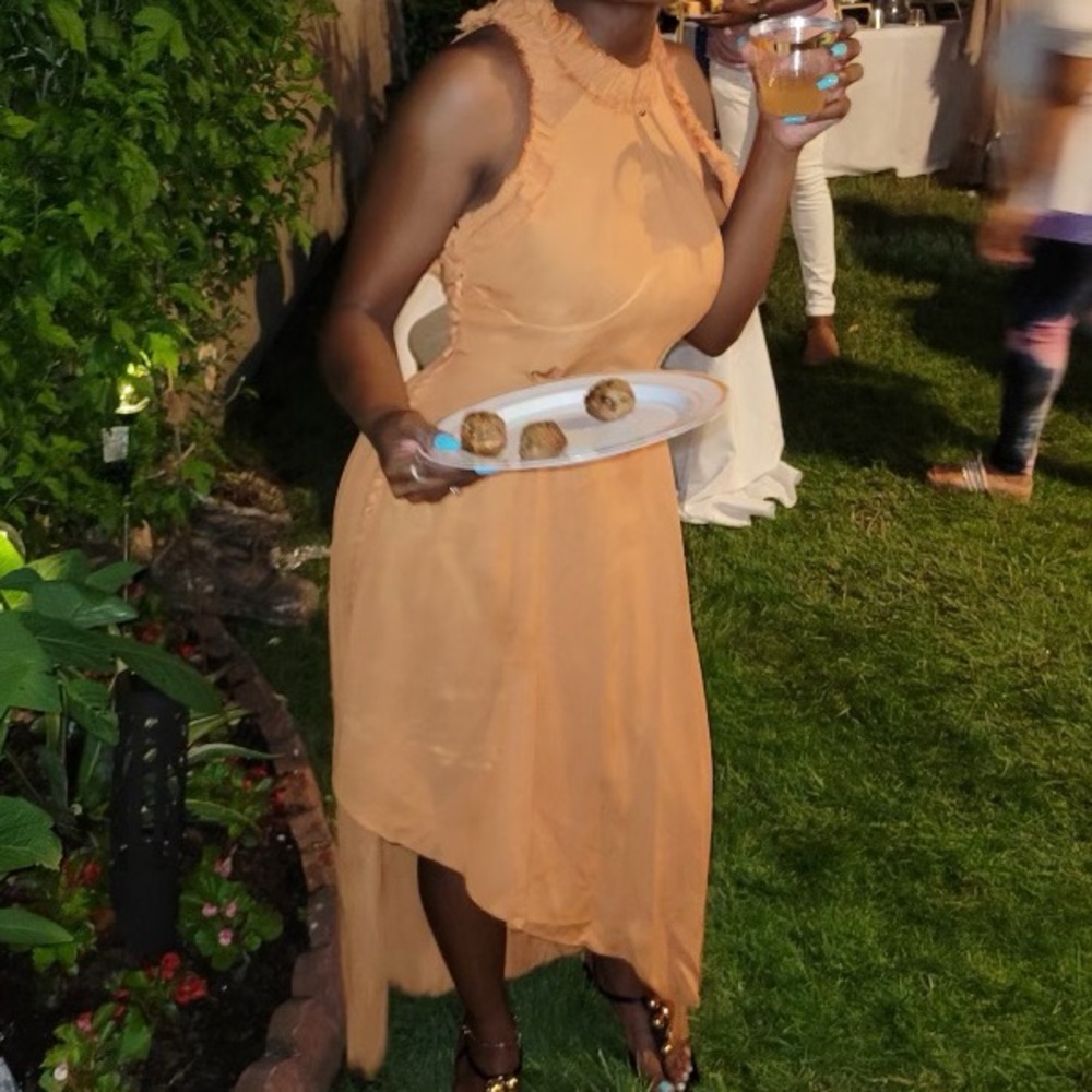 Magda Butrym Assisi Dress - Picture 11 of 11